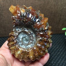 332g Natural  Stone sculptor decoration specimens of Madagascar   fb1836 picture