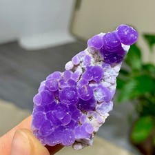 16G Natural purple grape agate quartz crystal granular mineral specimen picture