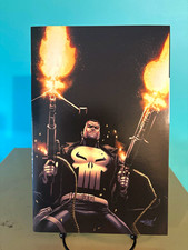 The Punisher #1, 1:100 David Marquez Virgin Variant, Marvel Comics picture