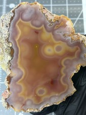 Gorgeous Polished LAGUNA AGATE Colorful Banding Fortification picture