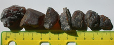 Group of 7 Rough Burmese Burmite Amber Fossil Stones from Dinosaur Age 18 g picture