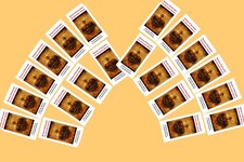 20 Pack The Surrender Novena Prayer Fr. Dolindo Large Print picture