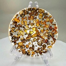 Natural Sericho Pallasite Meteorite Circular Slice Specimen With A Certificate picture