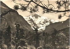 Interlaken Switzerland Jungfrau Mountain RPPC Real Photo Postcard c1960 Unused picture