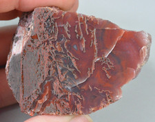 Agatized Dinosaur Bone, Utah, Polished, 57x45x54mm picture