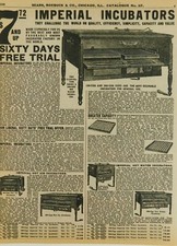 Imperial Incubators 60 Day Trial Sears Roebuck Vintage Advertisement Catalog Pg picture