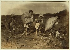 Photo:Bells Texas 1913 Cotton Pickers Children H.M. Lane Farm picture