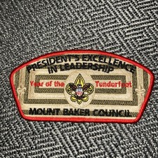 MINT CSP Mount Baker Council Washington SA-? 2021 Year Of The Tenderfoot 75 Made picture