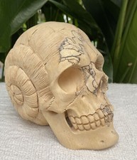Solid Carved Wooden Human Skull with Snail Design Carved Skull Figure Big Size picture