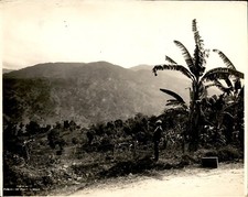GA201 Original Photo BEAUTIFUL AUTO ROAD IN JAMAICA MOUNTAINOUS TERRAIN picture
