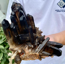 2.8LB Natural smoky black quartz cluster crystal mineral specimen healing. picture