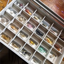 24pcs Real Fish in Resin Specimen Collection Marine Life with Display Box picture