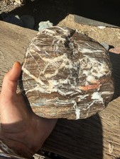 Large 6” Banded River Rock White Quartz-Like Veins South Fork Trinity CA picture