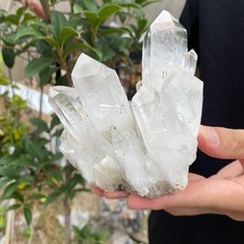 1.6LB Natural Clear White Crystal Quartz Cluster Rough Healing Specimen picture
