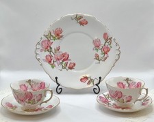 Vintage Roslyn Bone China MAGNOLIA Two Tea Cups/Saucers & 9