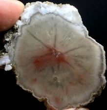 125ct WOW RARE Natural Trapiche Star Quartz CRYSTAL Specimen G87 picture