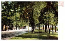 Harrisburg, PA View Of Front St. Park 1843 Horse & Buggy Trimmed Trees Debri-A81 picture