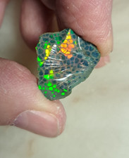 Large Colorful Smoked Ethiopian Opal Rough Honeycomb Green, Orange, Red & Yellow picture