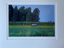 Winston Swift Boyer - Signed, Original Vintage Color Photograph - European picture