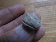 Scarce Civil War CSA Enfield Musket STAR Nipple Protector, Fredericksburg Battle picture
