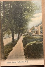 1908 Hurleyville NY, Fallsburg, Street Scene, Sullivan , County, Postcard picture