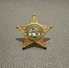 Vintage Collier County Sheriff's Office Florida Lapel Pin Sheriff Star picture