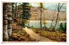 White Mountains, NH Mountain Path Franconia Notch Lake View Birch Trees -A71 picture