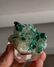 Emerald Green Dioptase with Calcite – Striking Contrast from a New Discovery picture