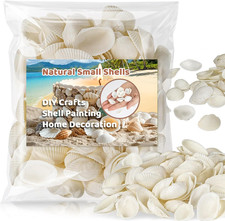 90 PCS White Sea Shells - 0.8-1.2 in Small Clam Shells for Crafts Tiny Seashells picture
