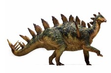 PNSO Chungkingosaurus Xiaobei 1/35 Scientific Art Model Dinosaur Figure Display picture