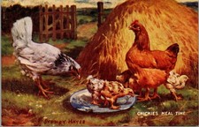 Vtg 1910s Chicks Meal Time Artist Signed Sydney Hayes Valetine Artotype Postcard picture