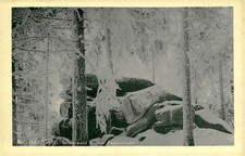 Vintage Postcard Winterwald an der Rabenklippe Bad Harzburg Germany Snow picture