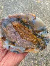 {OOAK} RARE MAURY MOUNTAIN MOSS AGATE SLAB/SPECIMEN - GORGEOUS - OREGON picture