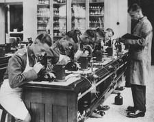 Group five military personnel sitting a row a workbench each exami- Old Photo picture