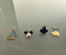Disney World park iconic Disney 4 Charm exclusive limited edition picture
