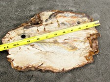 Stone Desk set Pen Petrified Wood Base vintage Shaeffer Old Antique Display GE picture