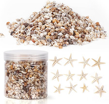 2000 Pcs Tiny Sea Shells & Starfish for Crafting,Mini Seashells Bulk picture
