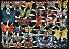 German Embossed Scrap Die Cut - Colorful Butterflies    EF7444  (New 2023) picture