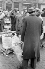 Market Scenes In Brussels 1955 Old Photo 2 picture