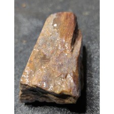 Gem Bone Polished Specimen (62 Grams) picture