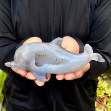 255G Natural agate geode quartz crystal engrave Dolphin skull healing gift picture