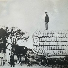 Vintage Texas RPPC Postcard Exaggerated Horse-Drawn Corn Wagon Farm picture