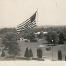 c1940s American Flag Flying High Landscape Trees Snapshot Photo Park Grounds Vtg picture