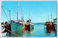 Greenport Long Island NY Fishing Boats In Deepwater Port Vintage 1960s Postcard picture