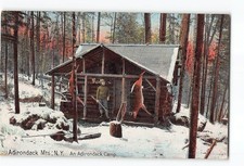 Adirondack Mts. New York NY Postcard 1911 An Adirondack Camp Hunting Deer picture