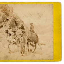 Stereoview of Ezion Geber Camel Riders by Frank Mason Good c1870 - Middle East picture
