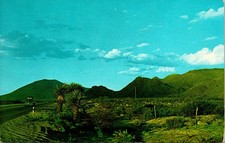 High and Lonesome Sunset and Sunrise in Texas Postcard unused 1960s picture