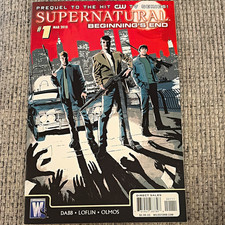 Supernatural: Beginning's End #1 Direct Sales Comic (Mar 2010) picture