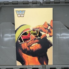 WWE Macho Man Randy Savage Barrett  Variant Cover 2017 picture