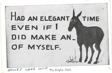 Donkey Mule Humor Postcard Mullet Lake The Heights Indian River Michigan 1950 picture